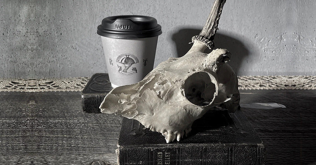 Object