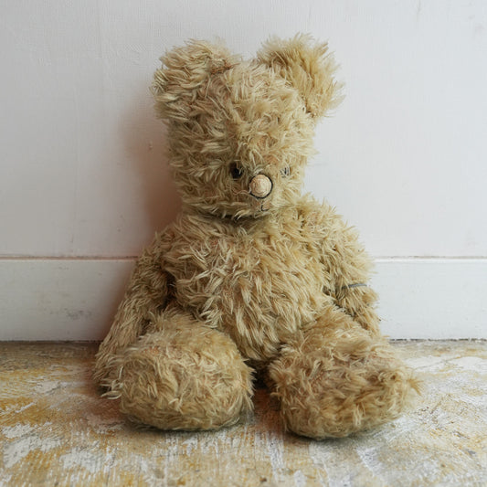 Antiques Teddy Bear{F-00501}