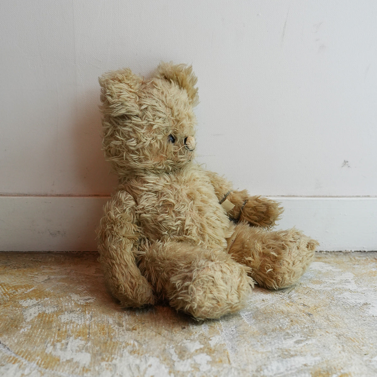 Antiques Teddy Bear{F-00501}