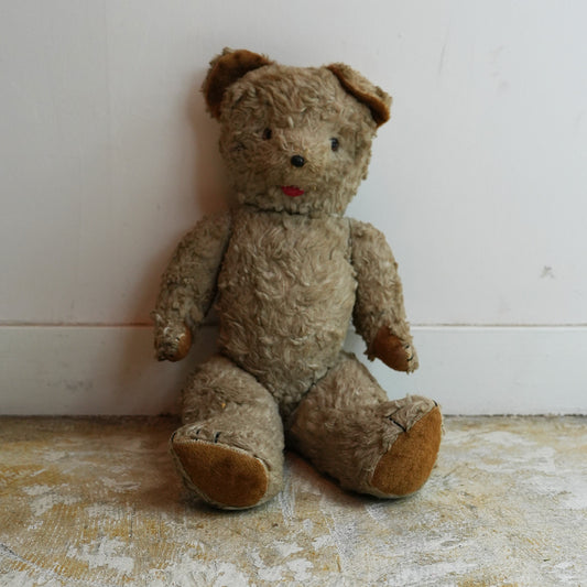 Antique Teddy Bear{F-00502}