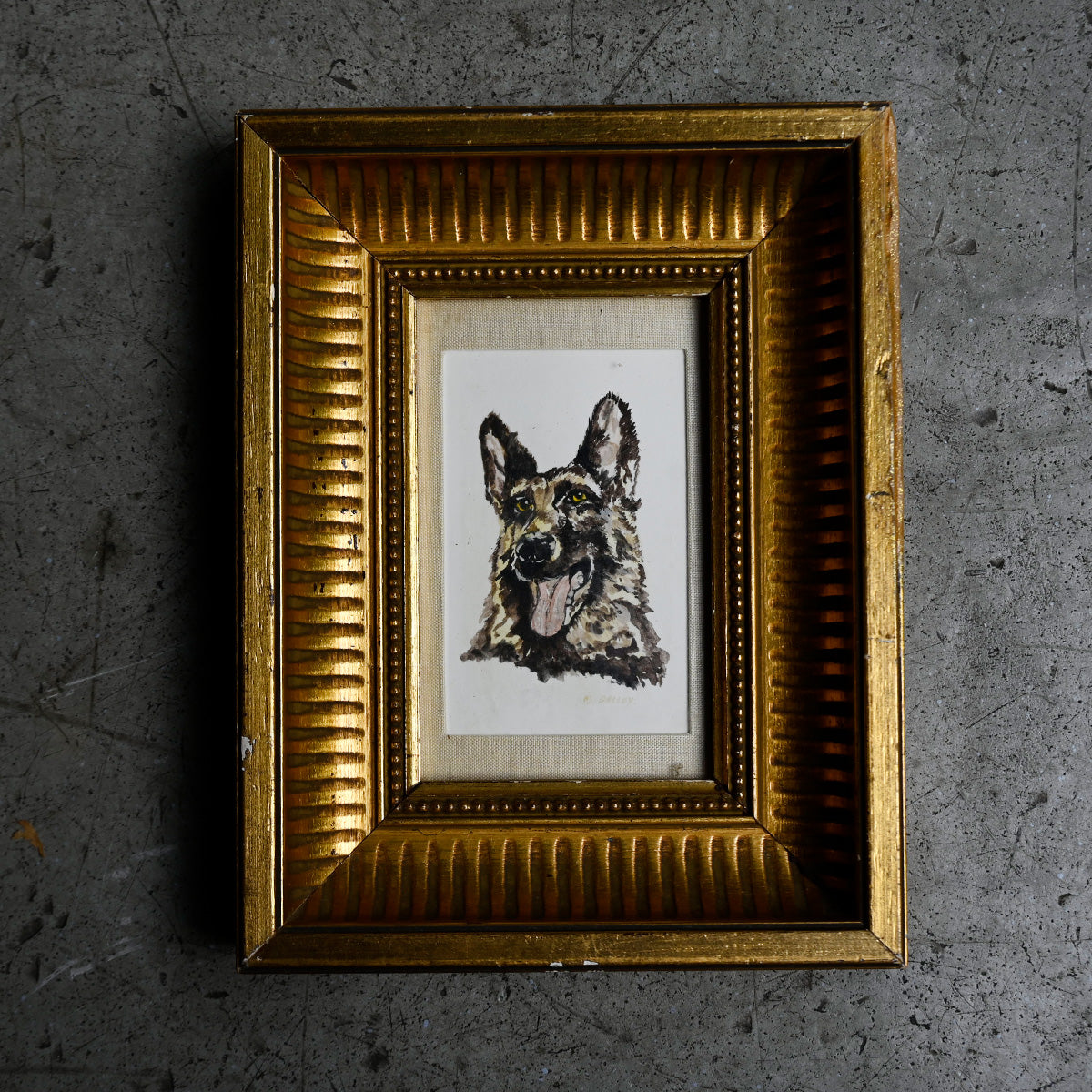 Antique German Shepherd Portrait in Gilt Frame{ F-00502 }