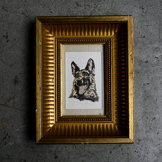 Antique German Shepherd Portrait in Gilt Frame{ F-00502 }