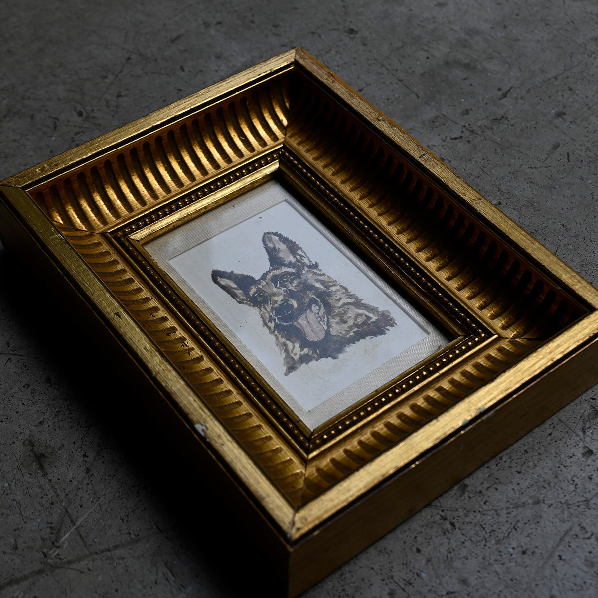 Antique German Shepherd Portrait in Gilt Frame{ F-00502 }