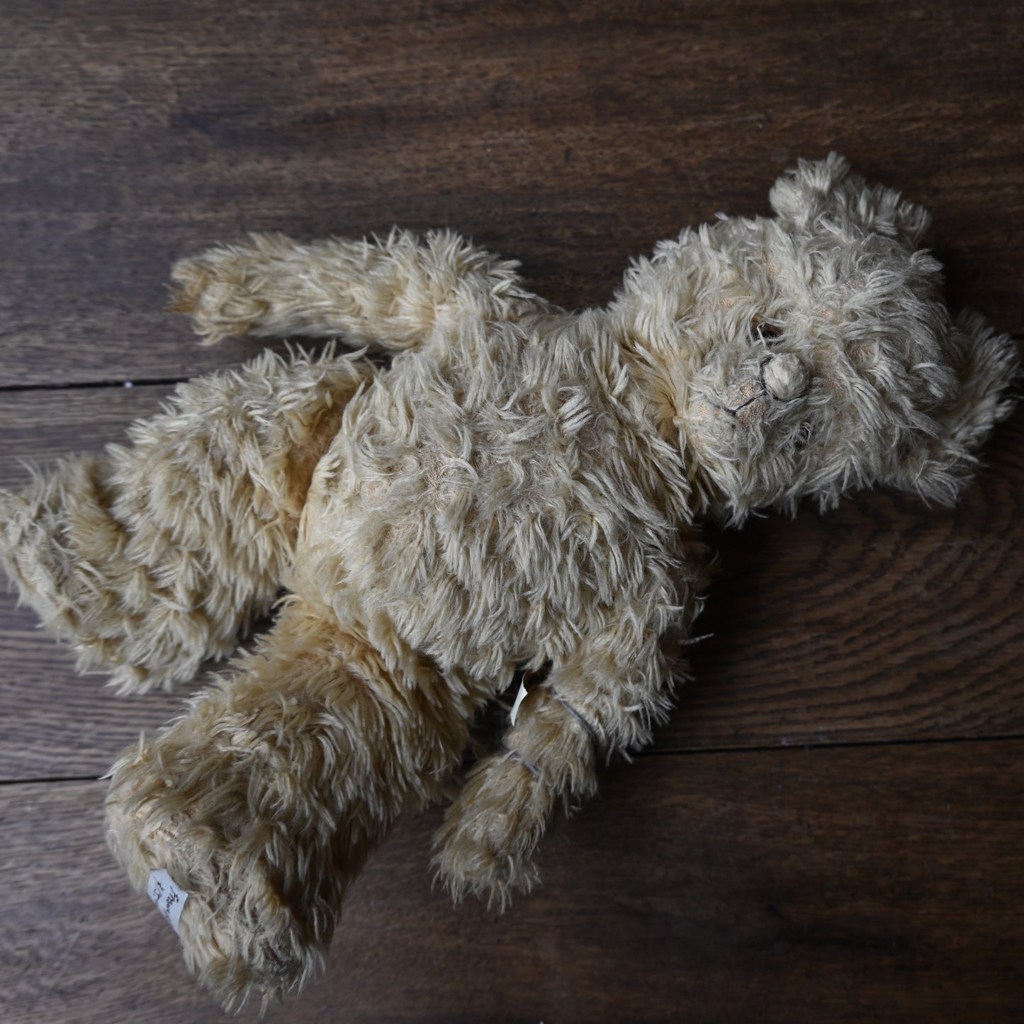 Antiques Teddy Bear{R-01123}