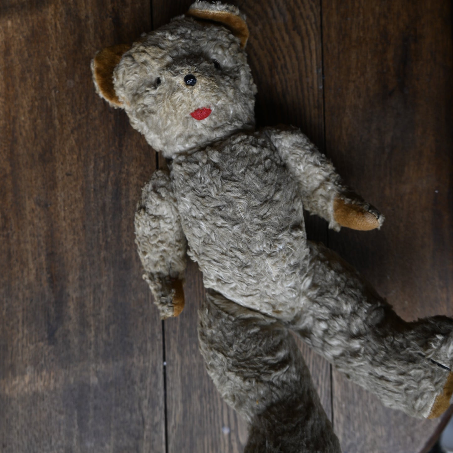 Antique Teddy Bear{R-01124}