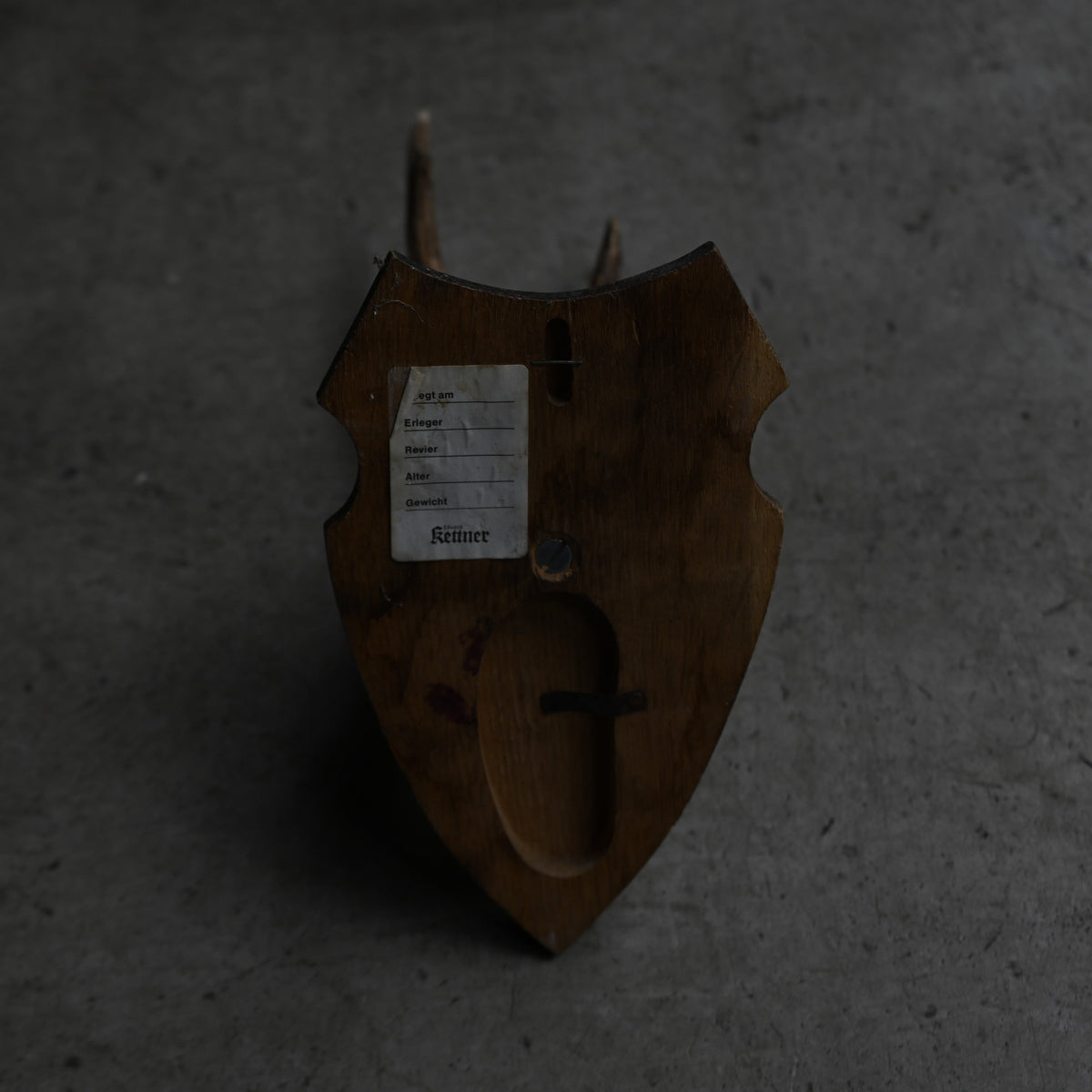 Hunting Trophy Ⅲ{RB-00405}