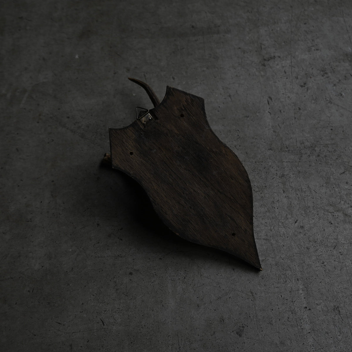 Hunting Trophy Ⅳ{RB-00406}