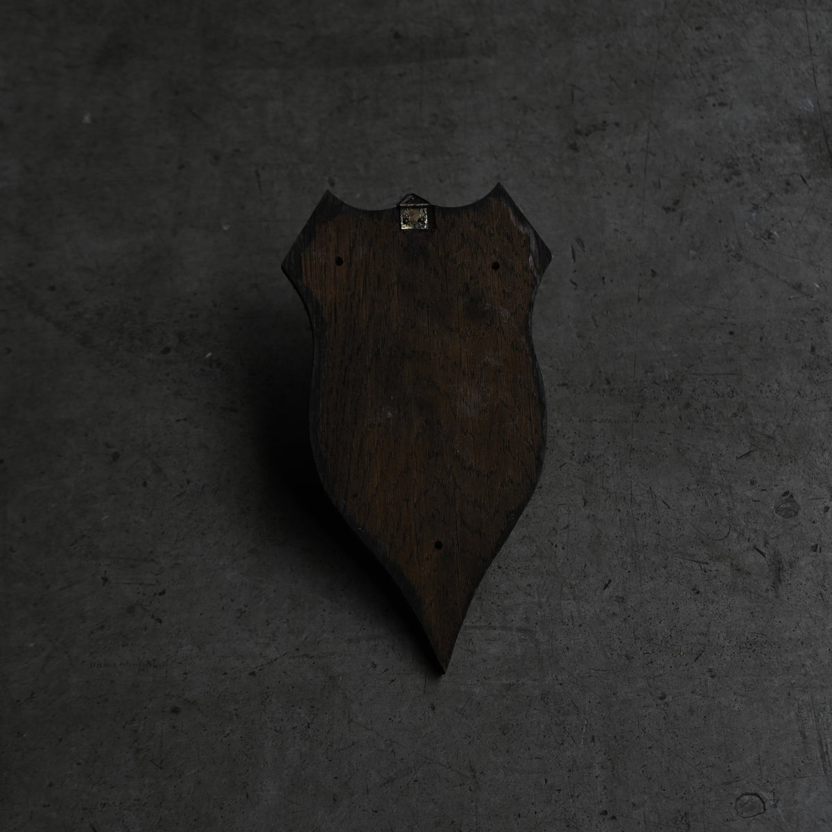 Hunting Trophy Ⅶ{RB-00409}