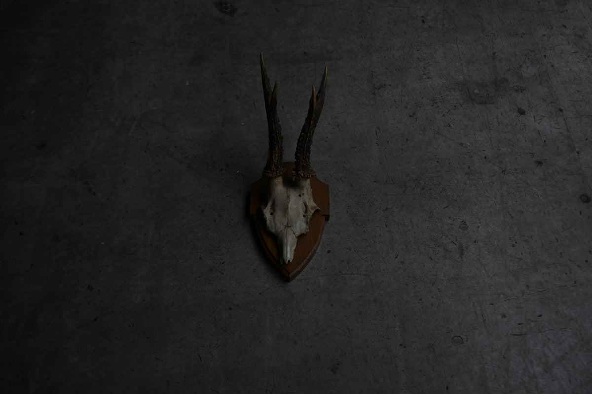 Hunting Trophy Ⅷ{RB-00410}
