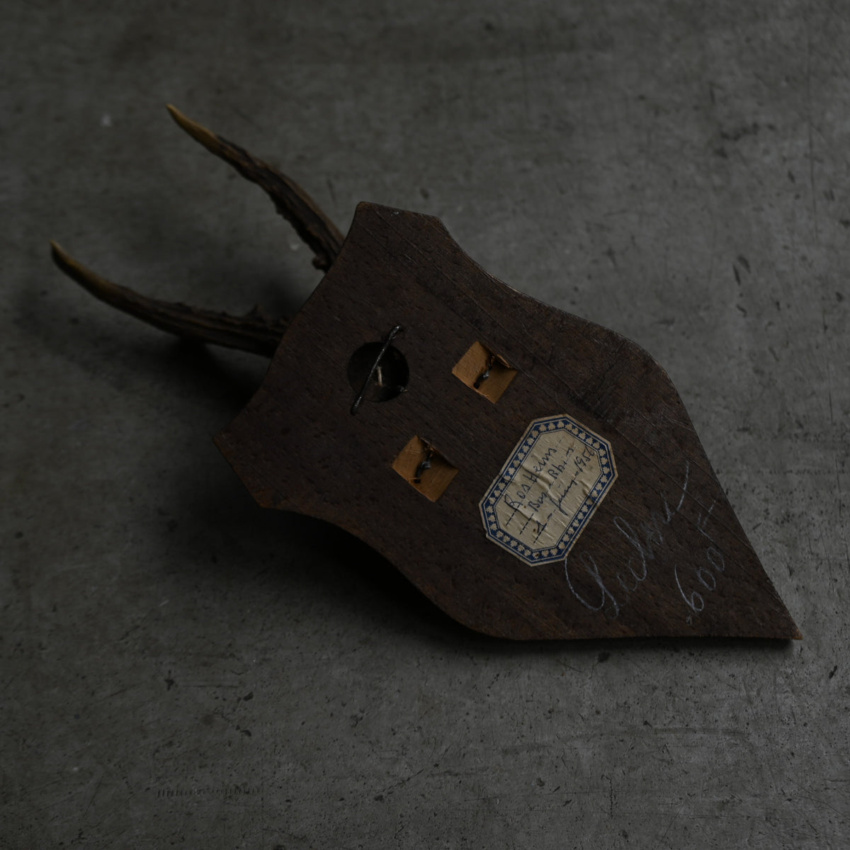 Hunting Trophy Ⅸ{RB-00411}