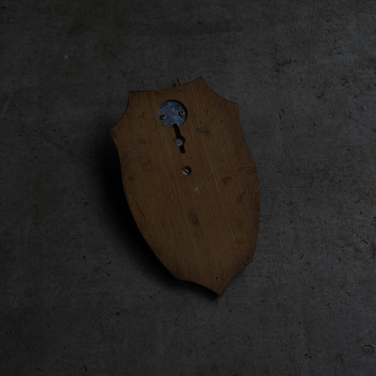 Hunting Trophy ⅩⅢ{RB-00415}