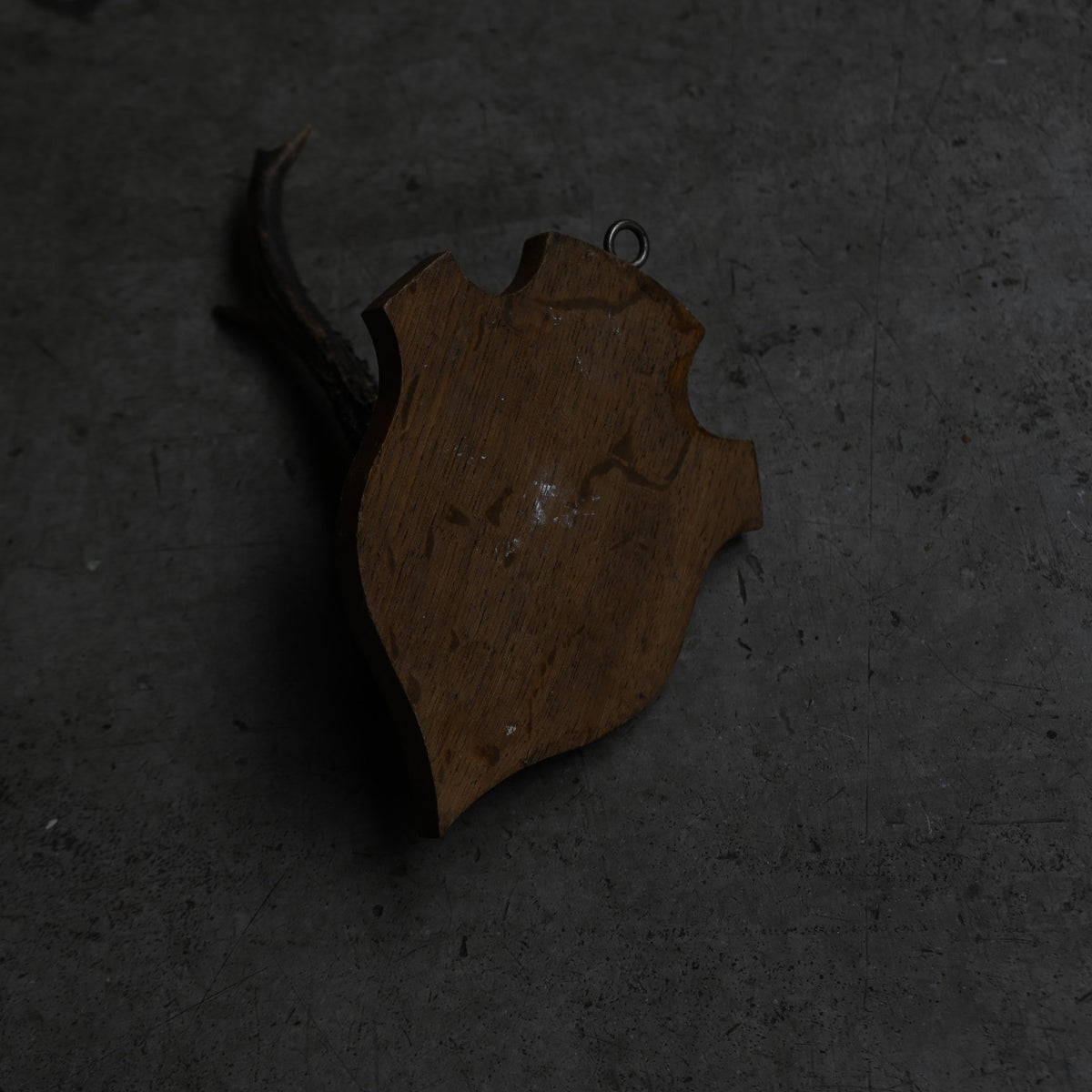Hunting Trophy ⅩⅥ{RB-00418}
