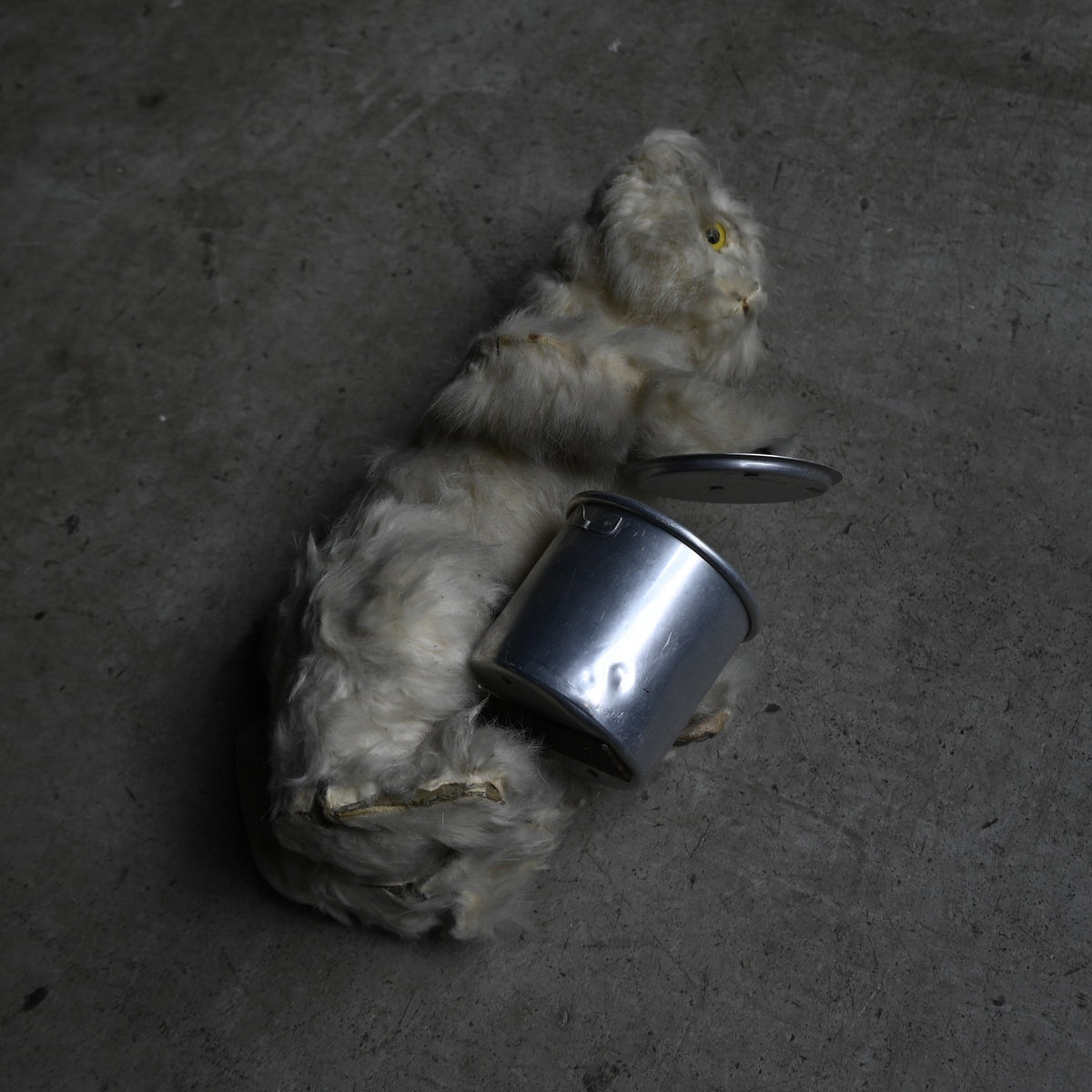 Antiques Stuffed "Cat "{RB-00818}