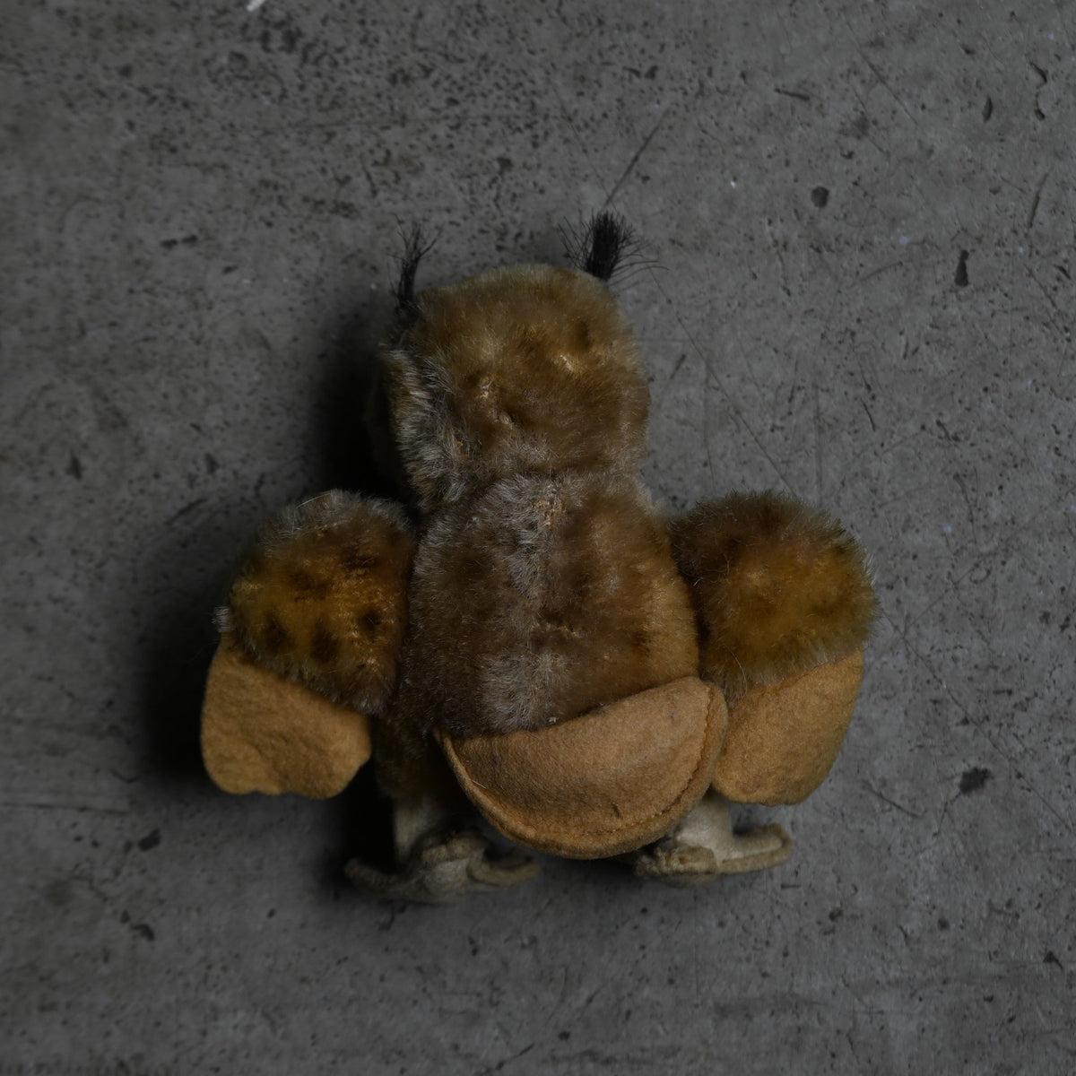 Antiques Stuffed "Owl"{RB-00817}