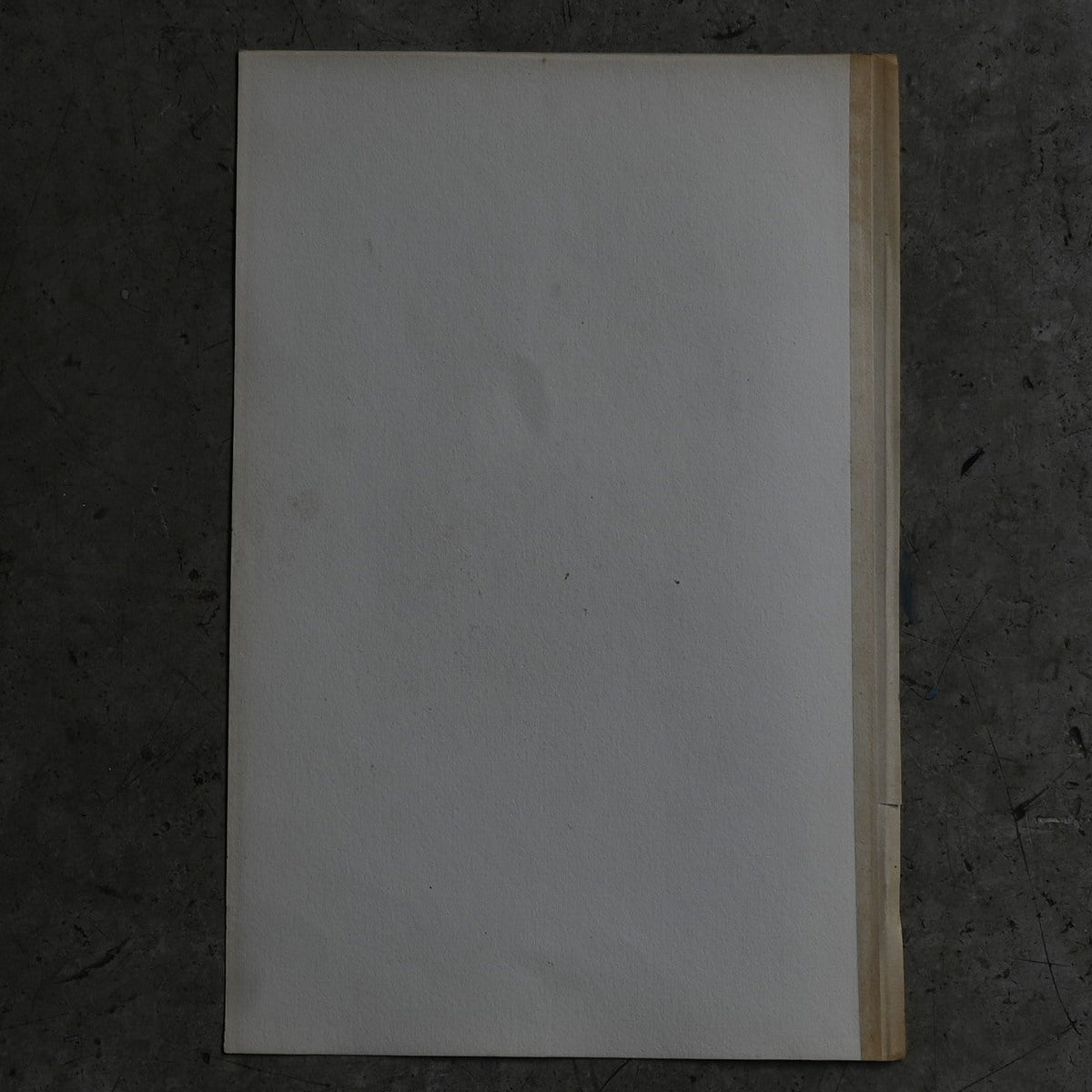Anatomical Print – Back Muscles & Spinal Nerves PI.102{RB-01123}