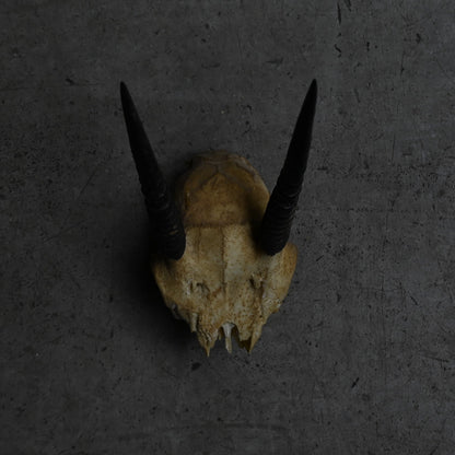 Hunting Trophy  ⅩⅩⅢ｛RB-00425｝