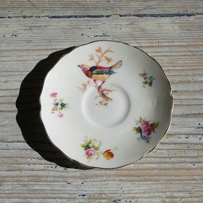 Roses De Limoges / Cup ＆ Saucer｛F-00941｝