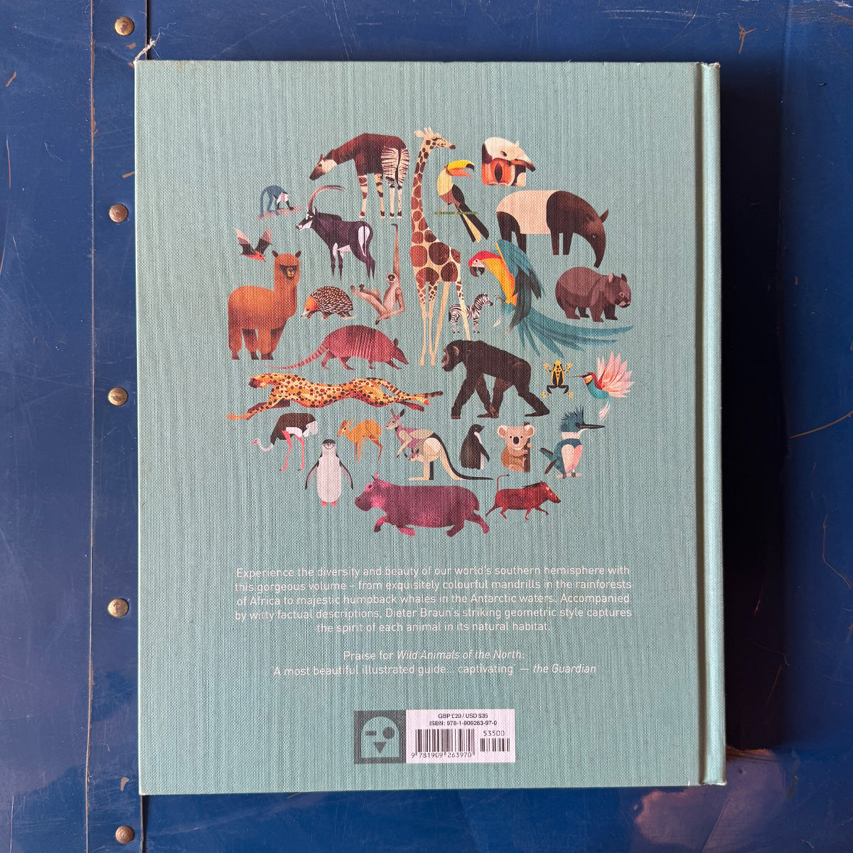 Wild Animals of the South｛F-00603｝