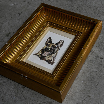 Antique German Shepherd Portrait in Gilt Frame｛ F-00502 ｝