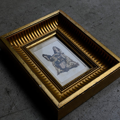 Antique German Shepherd Portrait in Gilt Frame｛ F-00502 ｝