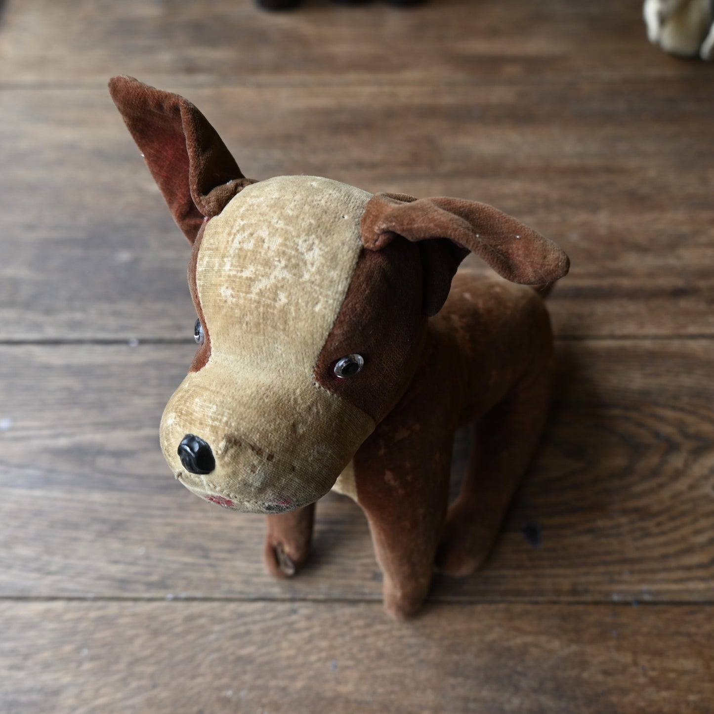 Antique Stuffed Dog｛R-01112｝