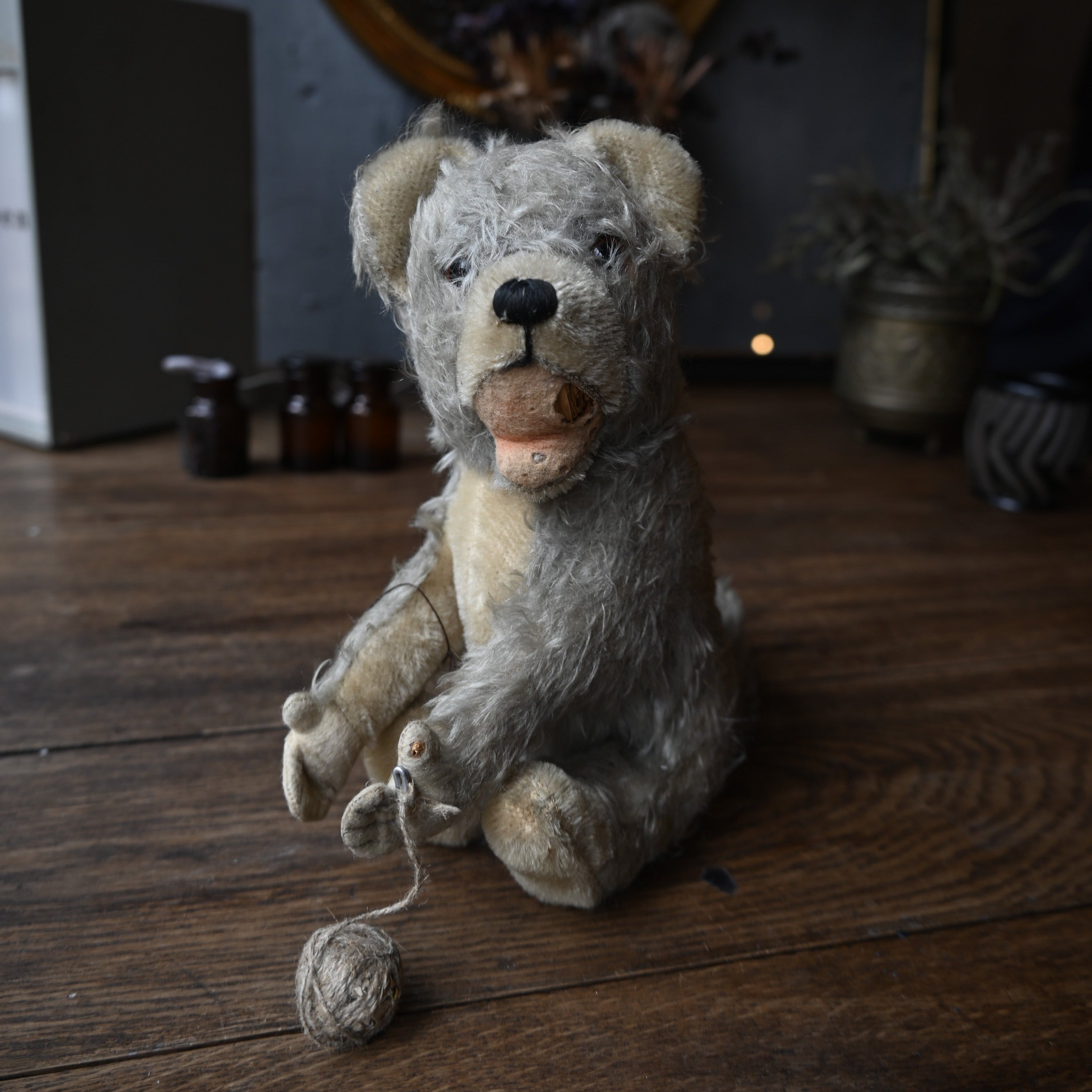 Antique Stuffed Dog｛RB-00806｝テディベア, フィギュア, フランス