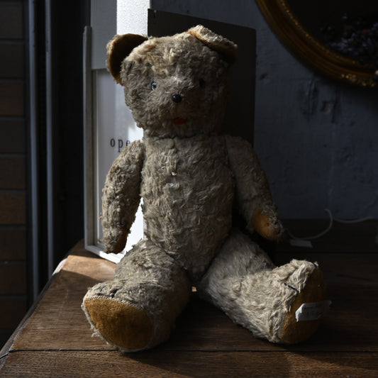 Antique Teddy Bear｛R-01124｝