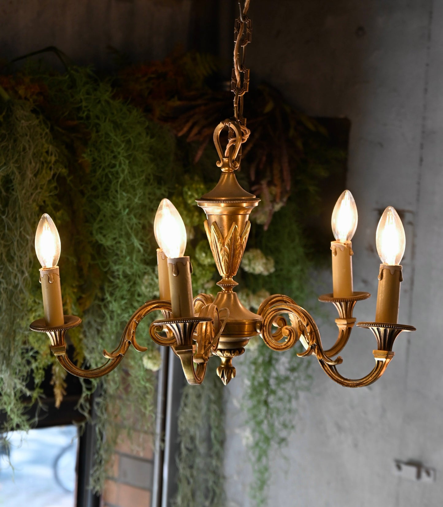 Brass chandelier（5灯）｛R-00405｝