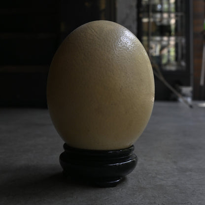 OstrichEgg＆woodstand｛RB-01005｝