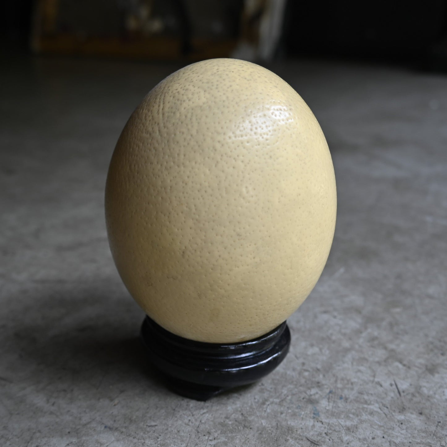 OstrichEgg＆woodstand｛RB-01005｝