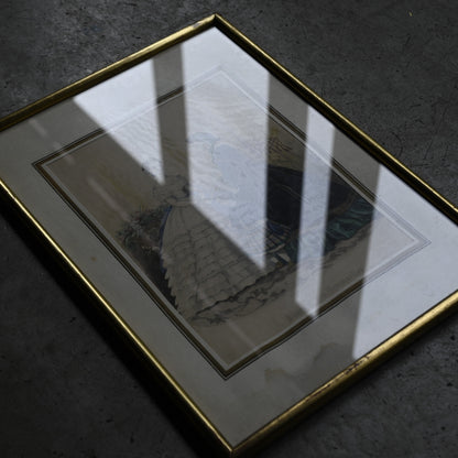 Fashion Plate Print Metal Gold Frame｛RB-00521｝