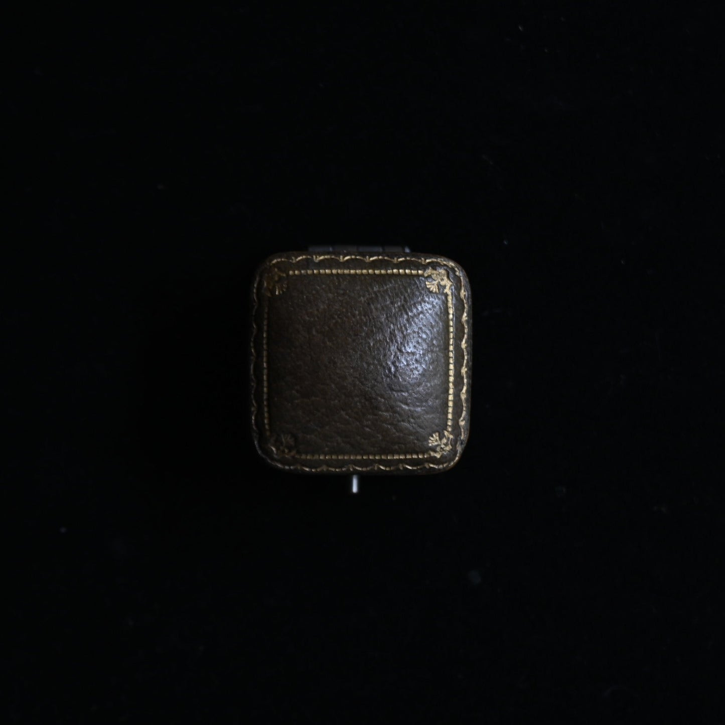S.D. & Co. Ltd. Ring Case"Brown"｛RB-00917｝
