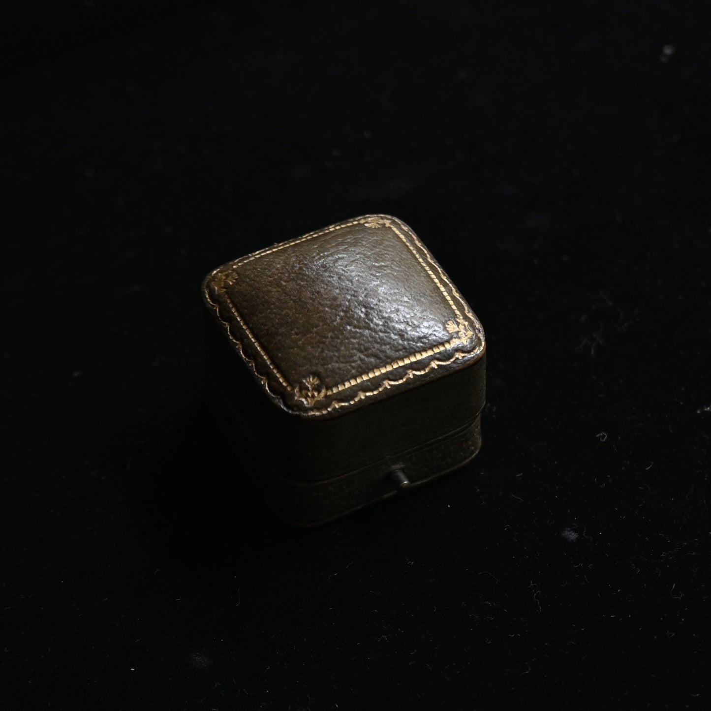 S.D. & Co. Ltd. Ring Case"Brown"｛RB-00917｝