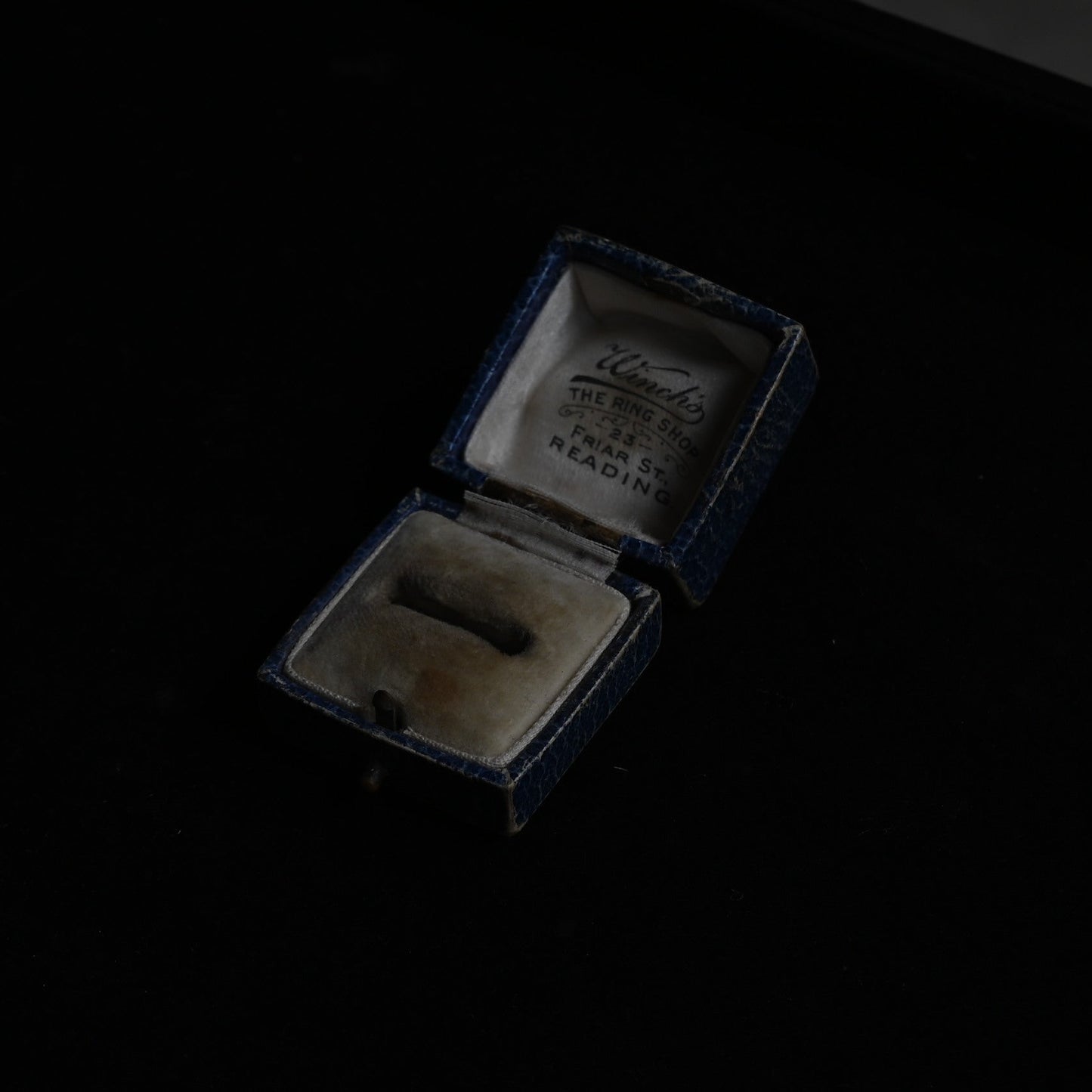 Winch’s Ring Case"Blue purple"｛RB-00919｝