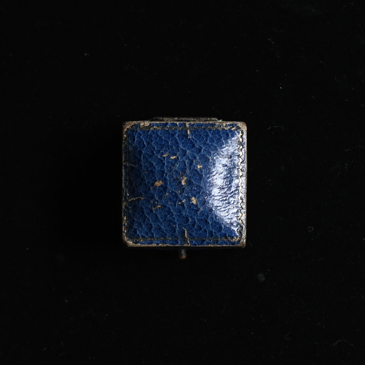 Winch’s Ring Case"Blue purple"｛RB-00919｝
