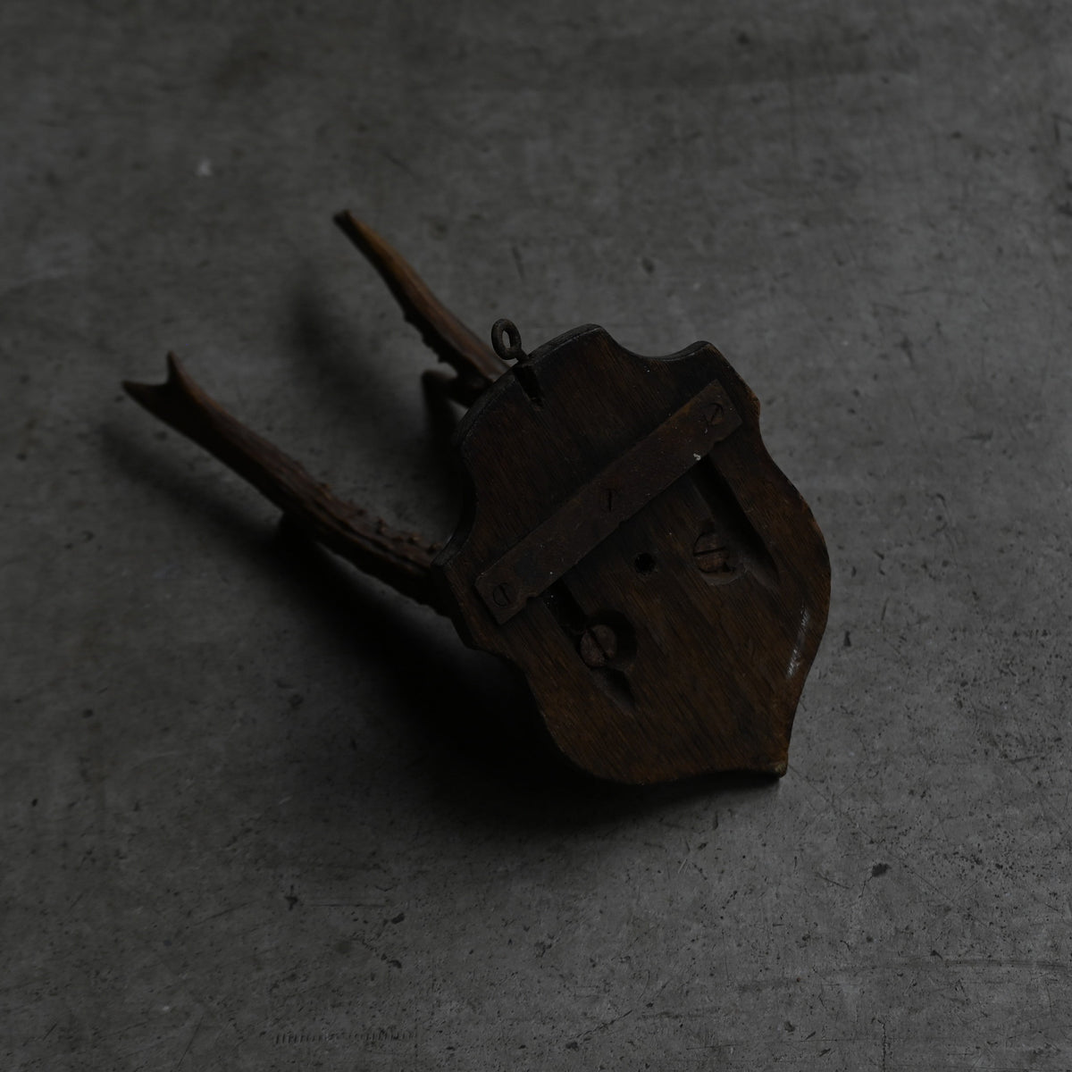 Hunting Trophy  Ⅱ｛RB-00404｝