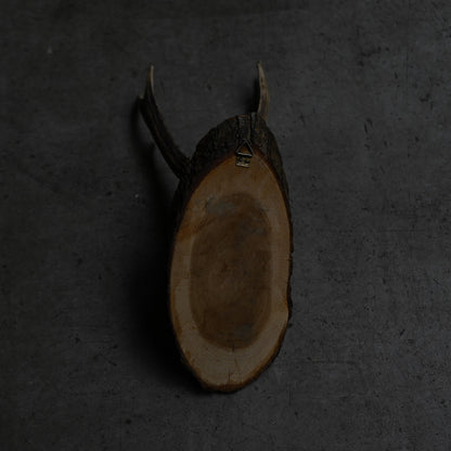 Hunting Trophy  Ⅵ｛RB-00408｝