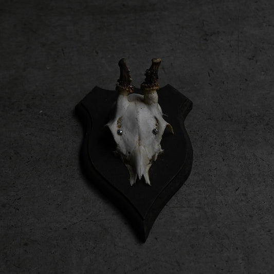 Hunting Trophy  Ⅶ｛RB-00409｝
