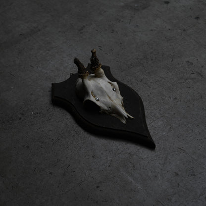 Hunting Trophy  Ⅶ｛RB-00409｝