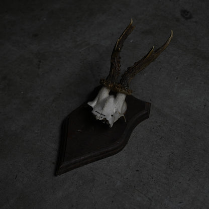 Hunting Trophy  Ⅸ｛RB-00411｝