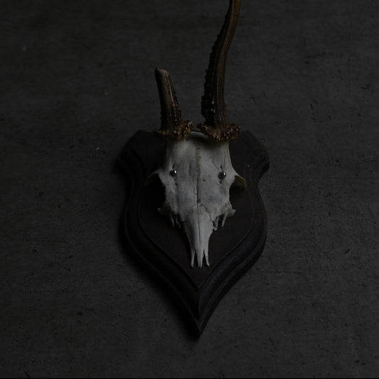 Hunting Trophy  Ⅹ｛RB-00412｝