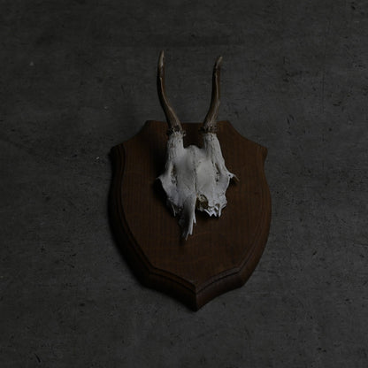 Hunting Trophy  ⅩⅢ｛RB-00415｝