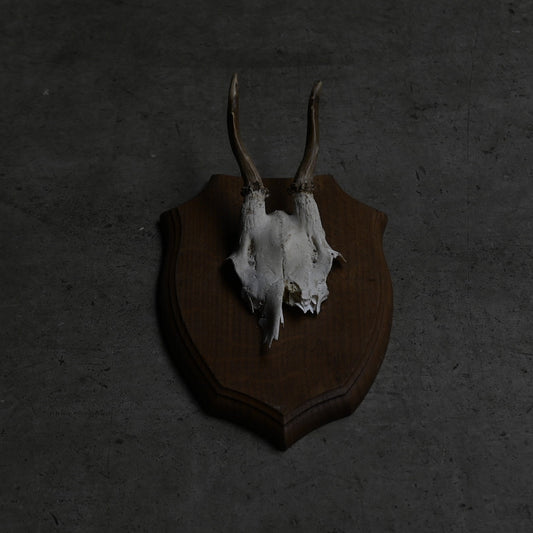 Hunting Trophy  ⅩⅢ｛RB-00415｝