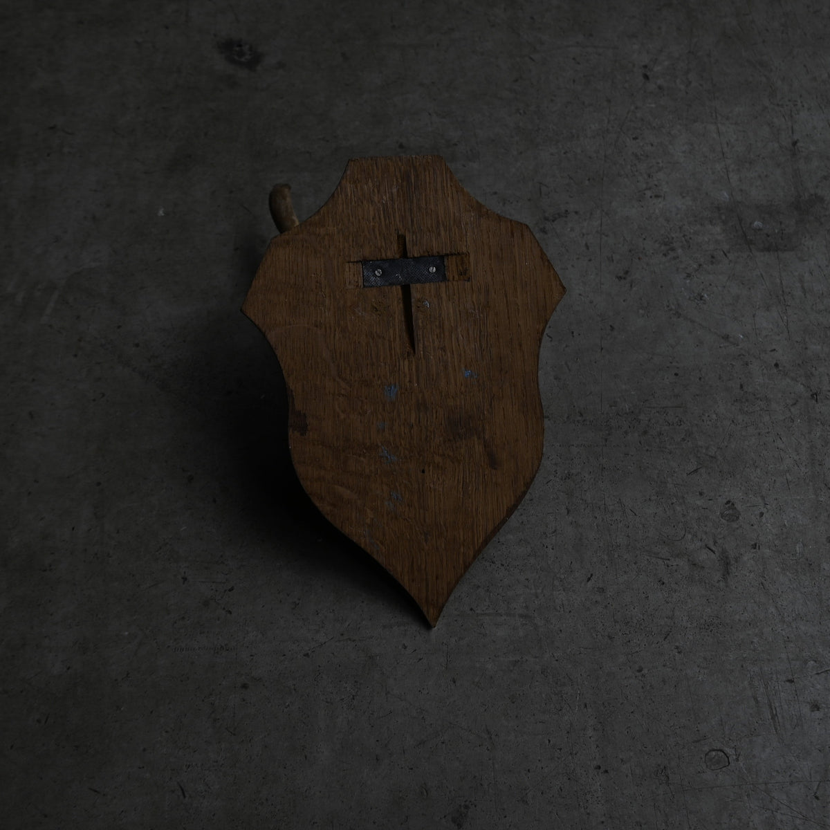 Hunting Trophy  ⅩⅣ｛RB-00416｝
