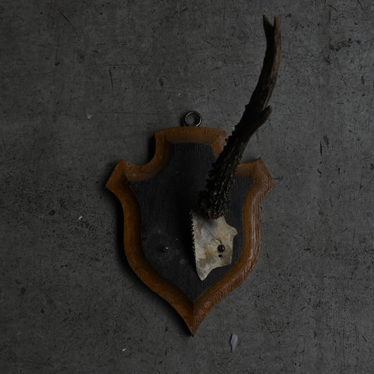 Hunting Trophy  ⅩⅥ｛RB-00418｝