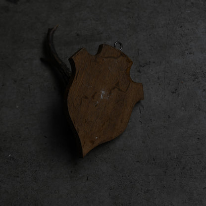 Hunting Trophy  ⅩⅥ｛RB-00418｝