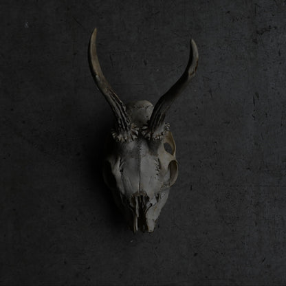 Hunting Trophy  ⅩⅨ｛RB-00421｝