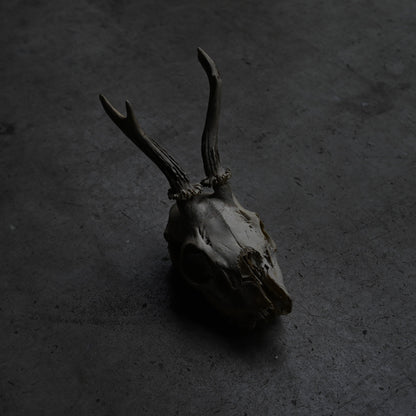 Hunting Trophy  ⅩⅨ｛RB-00421｝