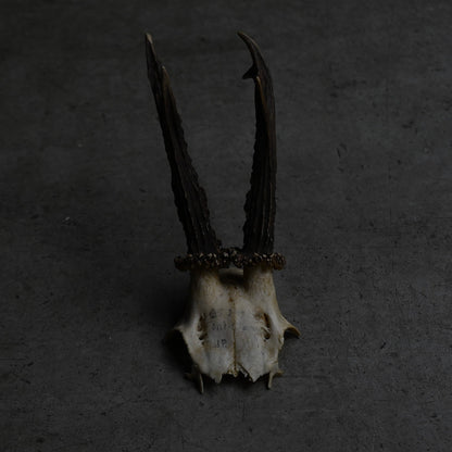 Hunting Trophy  ⅩⅩ｛RB-00422｝