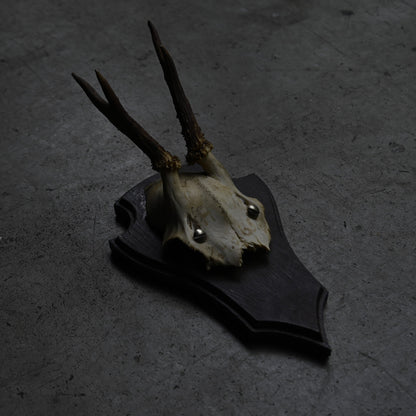 Hunting Trophy  Ⅰ｛RB-00403｝